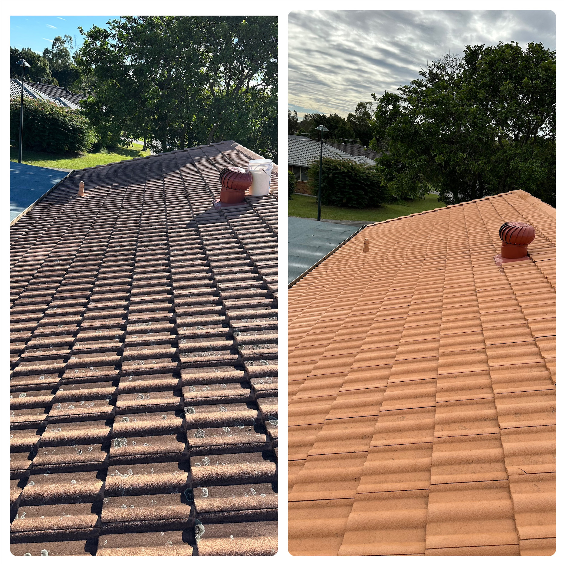 roof cleaning brisbane